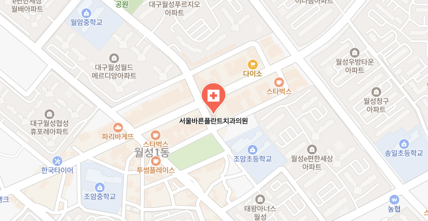 치과 랜딩 페이지 지도 이미지